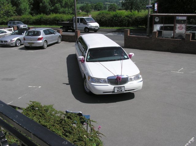 c035.jpg