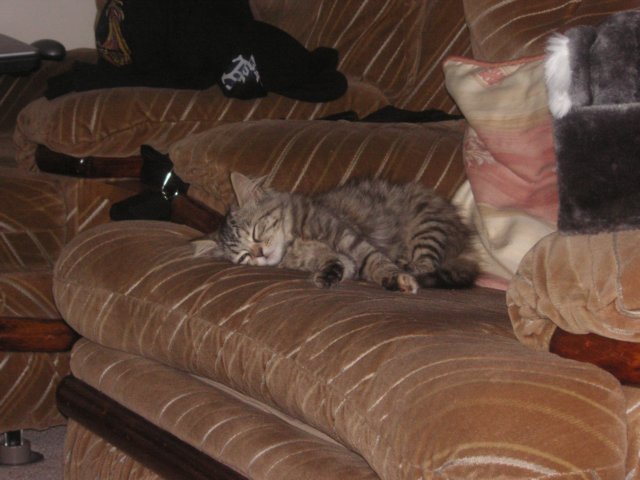 maxsnoozing.jpg