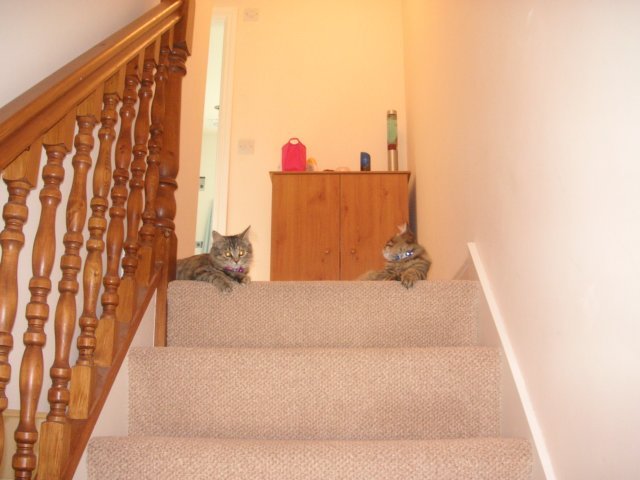 pict3424.jpg