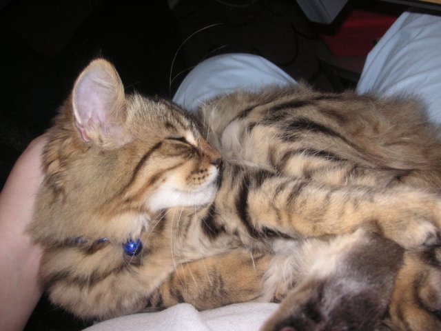 pict3443.jpg