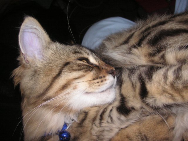 pict3447.jpg