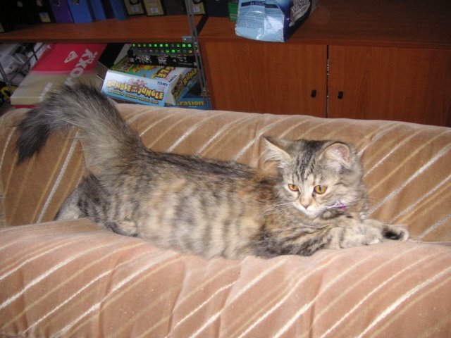pict3458.jpg