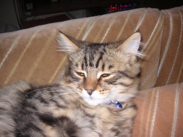 pict3465.jpg