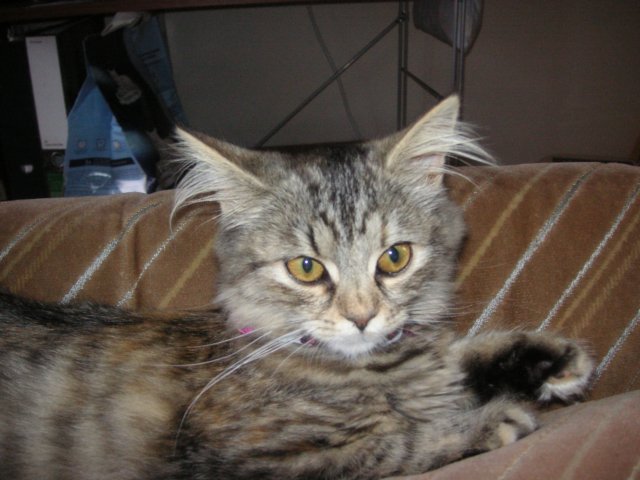 pict3469.jpg