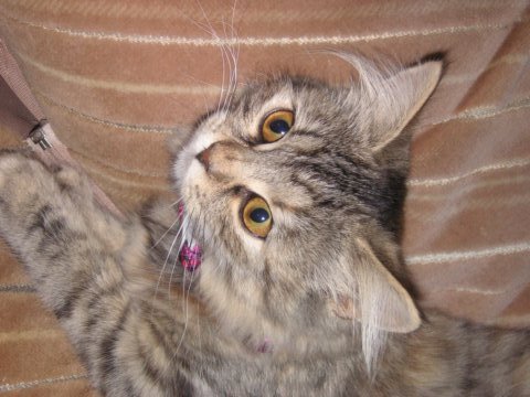 pict3475.jpg