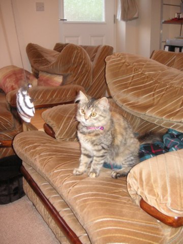 pict3487.jpg