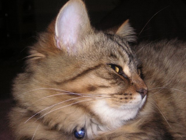 pict3608.jpg