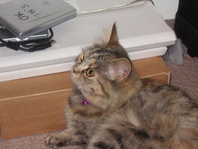 pict3648.jpg
