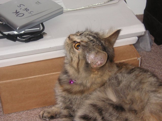 pict3649.jpg