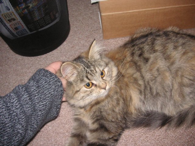 pict3674.jpg