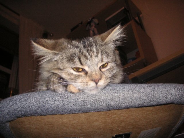 pict3680.jpg