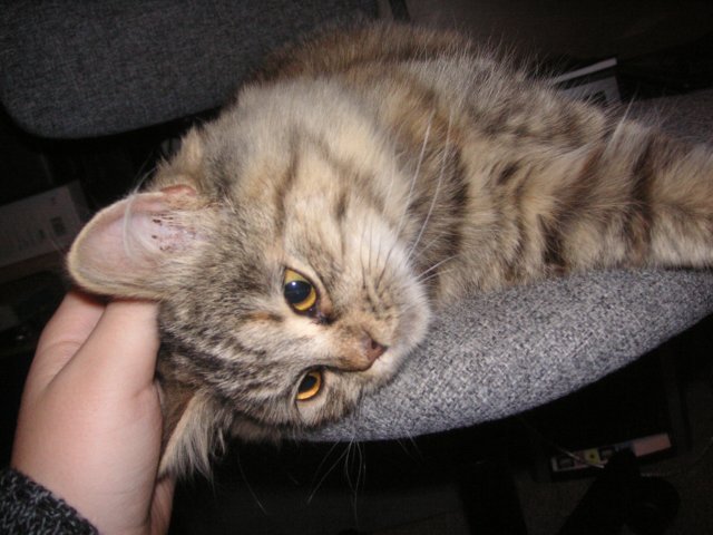 pict3681.jpg
