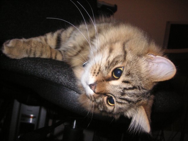 pict3703.jpg