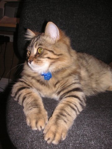 pict3713.jpg