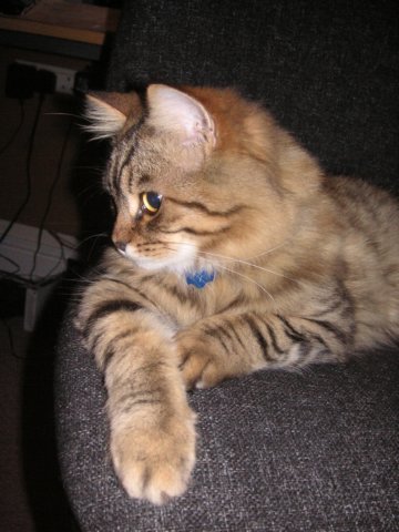 pict3715.jpg