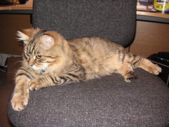 pict3718.jpg