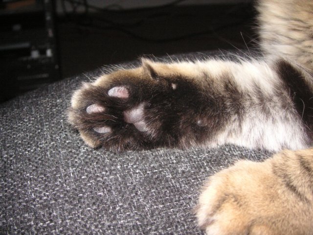 pict3723.jpg
