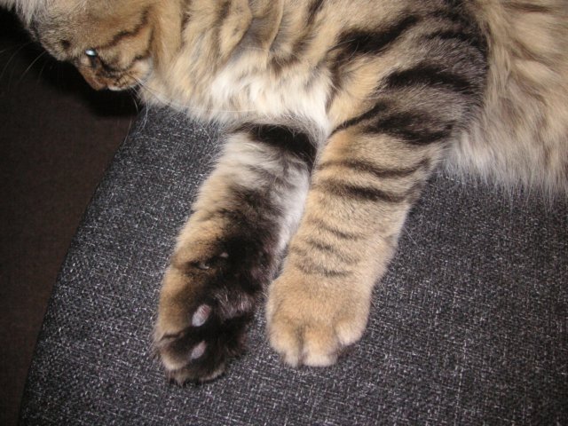 pict3724.jpg