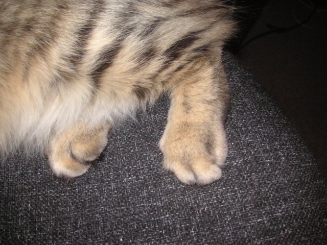 pict3725.jpg