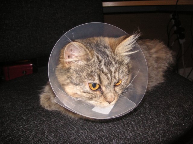 pict3754.jpg