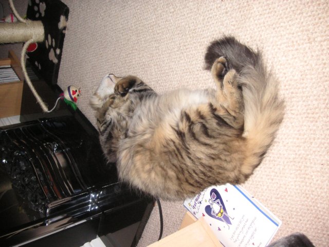 pict3807.jpg
