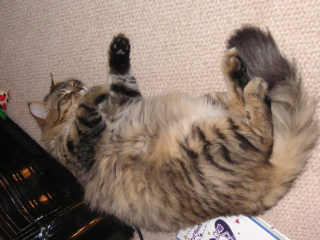 pict3814.jpg