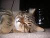 pict3821_small.jpg