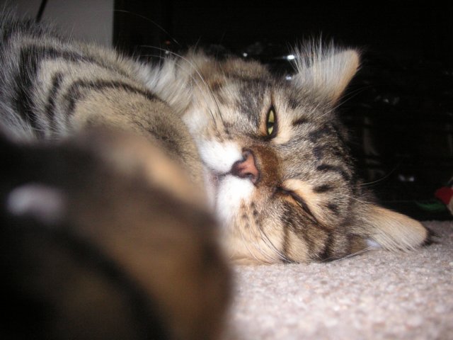pict3824.jpg