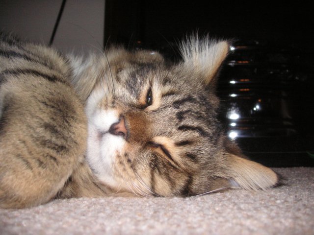 pict3825.jpg