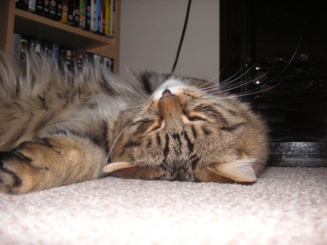 pict3830.jpg