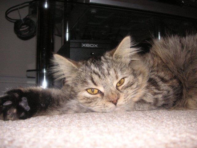 pict3835.jpg