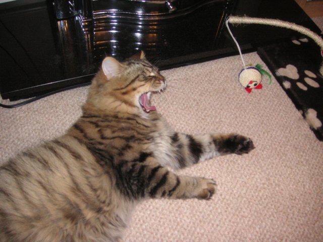 pict3842.jpg