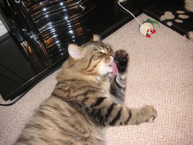 pict3848.jpg