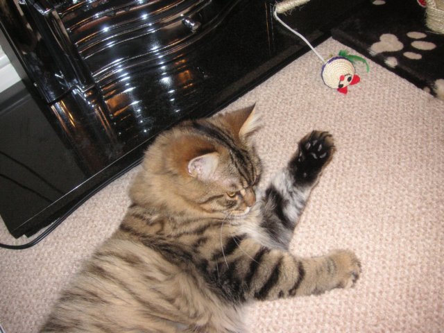 pict3849.jpg