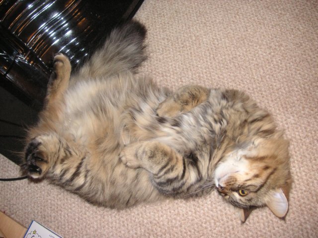 pict3866.jpg