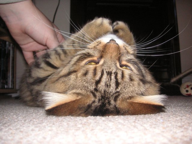 pict3872.jpg