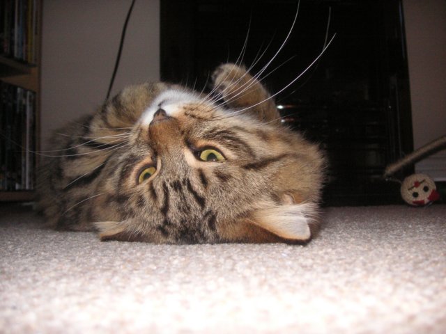 pict3875.jpg