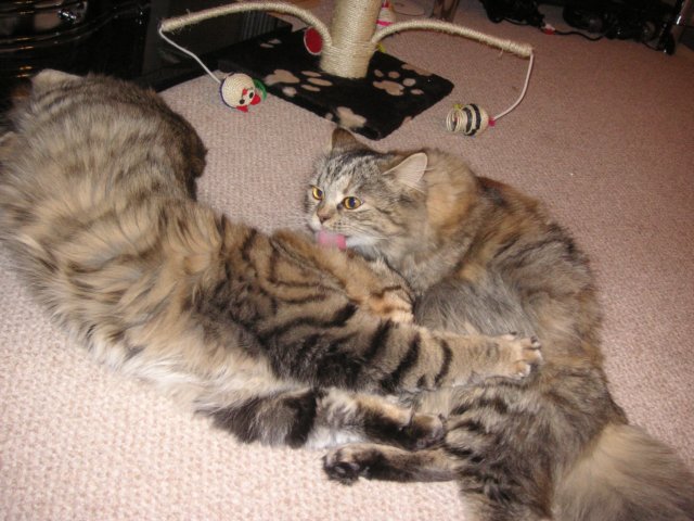 pict3880.jpg