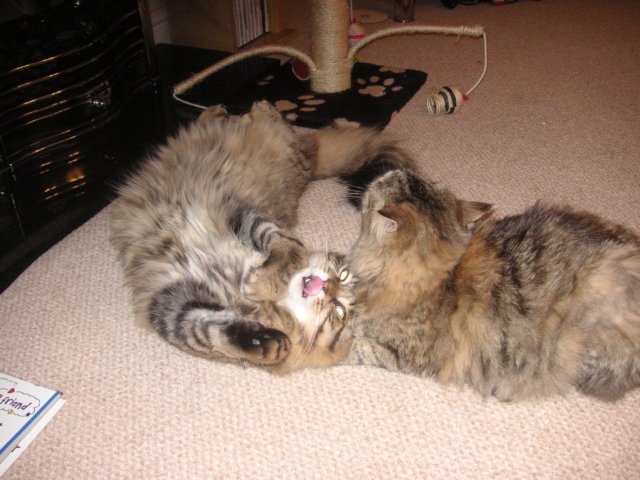 pict3892.jpg