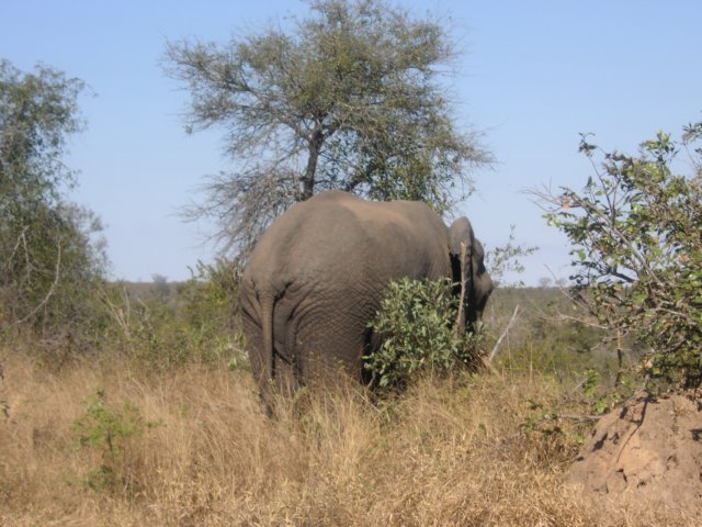 pict1819.jpg